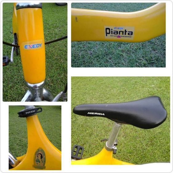 จักรยาน EXEDY รุ่น PIANTA เฟรมคาร์บอนไฟเบอร์ รูปที่ 14