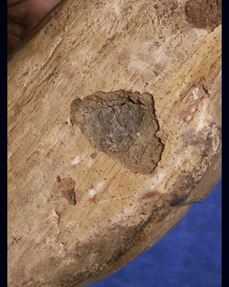 พระบูชาเกจิไม่ทราบที่ เนื้อดินผสมผง หน้าตัก 9 นิ้ว บ้านๆเก่าเก็บ รูปที่ 5