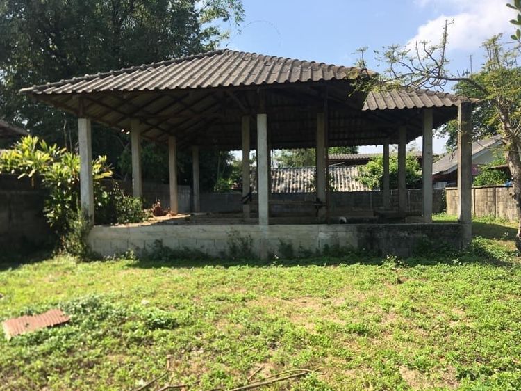 ขายด่วน ที่ดิน 94 ตรว.พร้อมโครงสร้างบ้านสร้างยังไม่เสร็จ พิกัดบ้านนางแล เมืองเชียงราย ราคา1.35 ล้าน รูปที่ 3