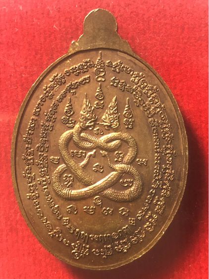 เหรียญหลวงปู่ทิม อิสริโกปี61 รูปที่ 2