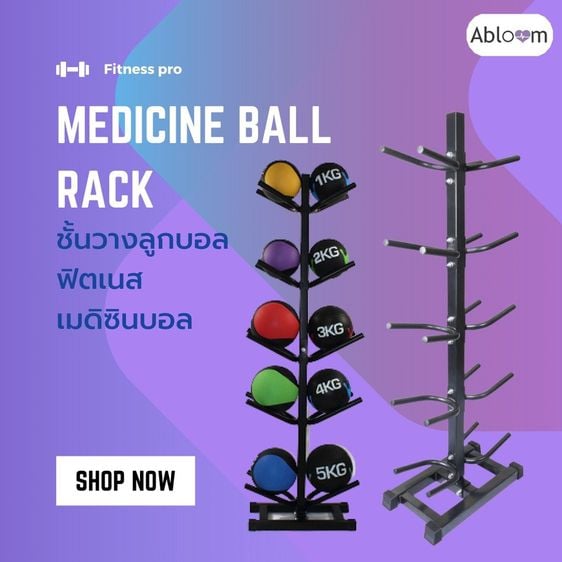 ชั้นวางลูกบอลฟิตเนต ชั้นวางเมดิซินบอล (สีดำ) Medicine Ball Rack Fitness Ball Rack