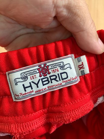 hybrid  รูปที่ 12