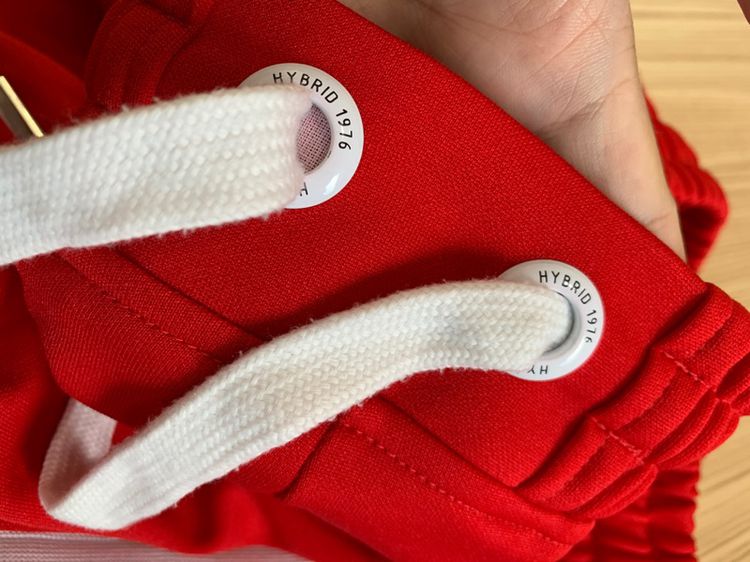 hybrid  รูปที่ 10