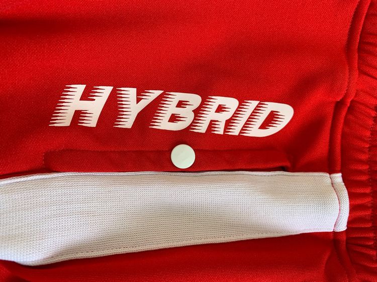 hybrid  รูปที่ 15