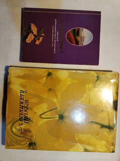 สมเด็จ​ย่าของข้าไท​ แถมพระราข​พิธีถวายพระเพลิง​พระบรมศพ​ รูปที่ 17