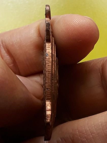 เหรียญเต่าหลวงปู่หลิว วัดไร่แตงทอง รูปที่ 8