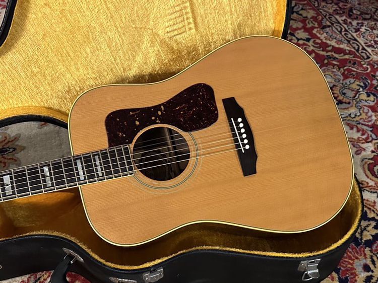 Guitar Aria and Co GL500 แรร์ไอเท็ม ของหายาก รูปที่ 4