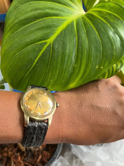 นาฬิกา Omega Seamaster  505 ทองแปะ รูปที่ 2