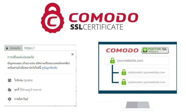 บริการติดตั้ง SSL Certificate ทั้งใน Window and Linux Server รูปที่ 7