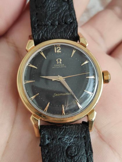 นาฬิกา OMEGA Seamaster 18k Solid Gold Ref.2984 ปี1956s รูปที่ 5