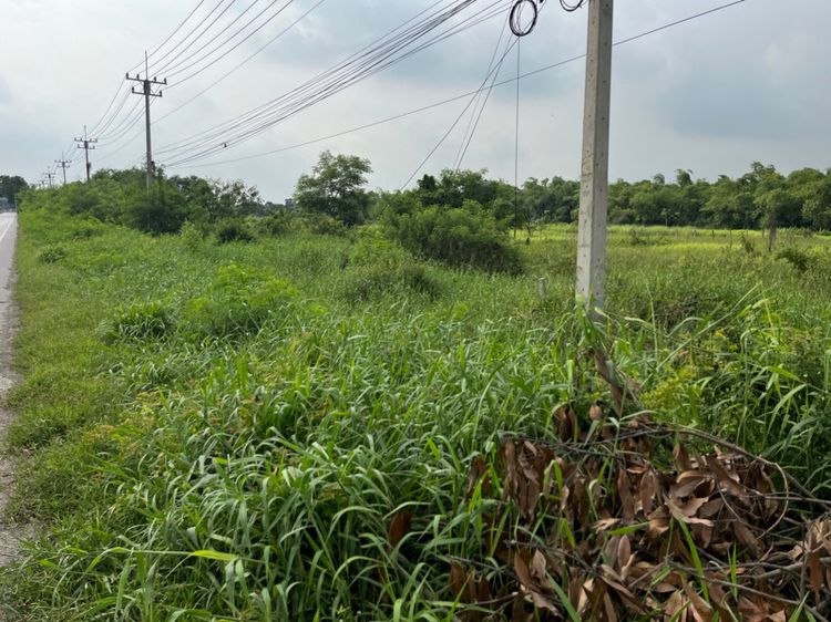 ขายที่ดินเปล่าติดถนนใหญ่ ขนาด 2 ไร่ คลองห้า คลองหลวง ปทุมธานี รูปที่ 3