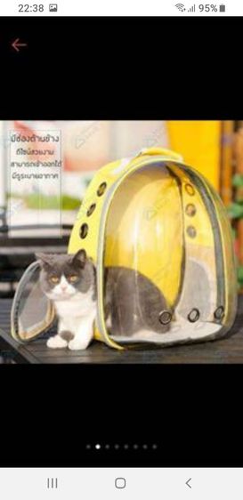 กระเป๋าอวกาศสำหรับสัตว์เลี้ยงน้องหมาน้องแมว รูปที่ 11