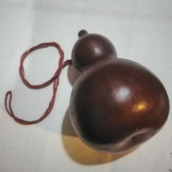 เสือแม่ลูกอ่อนหัว​ส่าย​ไปมาได้พรัอมสินค้าจากจีนอื่นๆ รูปที่ 11