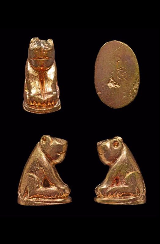 (ของขวัญ) สวยแชมปี เหมาทั้งหมด 5 ตัวเสือหลวงพ่อปาน (เนื้อทองแดง 2 และ เนื้อทองเหลือง 3) วัดมงคลโคราวาส(บางเหี้ย) ครบรอบ ๑๐๑ ปี รูปที่ 5