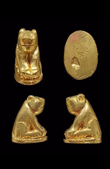 (ของขวัญ) สวยแชมปี เหมาทั้งหมด 5 ตัวเสือหลวงพ่อปาน (เนื้อทองแดง 2 และ เนื้อทองเหลือง 3) วัดมงคลโคราวาส(บางเหี้ย) ครบรอบ ๑๐๑ ปี รูปที่ 3