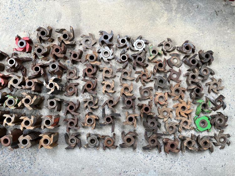 ขาย ดอกเร้าเตอร์ ดอกตีบัวไม้ 300กว่าตัว รูปที่ 2