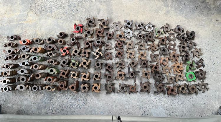 ขาย ดอกเร้าเตอร์ ดอกตีบัวไม้ 300กว่าตัว