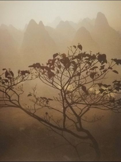 สายหมอกดอกเหมย(Beautiful​ China)​ รูปที่ 11