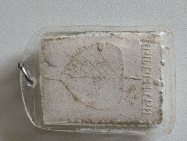 พระสมเด็จเจ็ดชั้นหลังใบโพธิ์หลวงพ่อขอมปี๐๕ รูปที่ 10