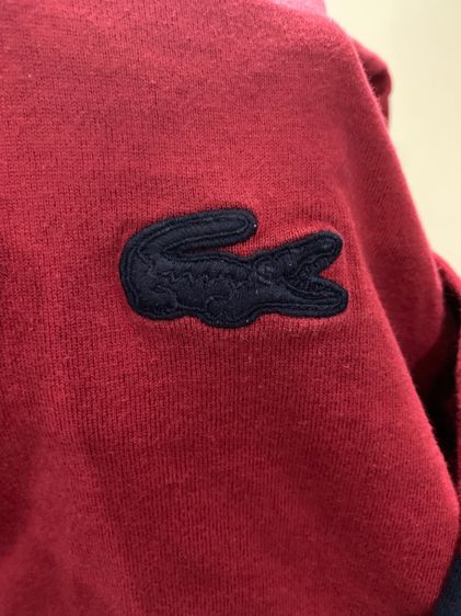 LACOSTE  รูปที่ 4