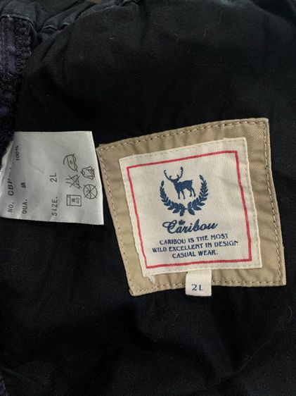 CARIBOU  รูปที่ 5