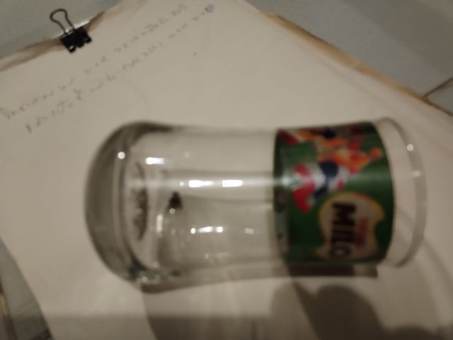 แก้ว​ไมโลวินเทจ​(80'S MILO VINTAGE​ GLASS)​ รูปที่ 6