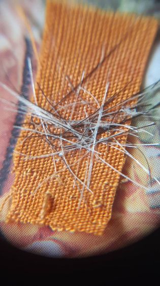 รูปถ่ายปู่หมุน เสกพิธีสมปราถนา ปี พ.ศ. 2543 แค่จีวรเกศาก็ประเมินค่าไม่ได้แล้ว  รูปที่ 8