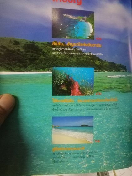 หมู่เกาะสิมิลัน หมู่เกาะสุรินทร์ อ่าวพังงา ความงามแห่งทะเลอันดามัน รูปที่ 4