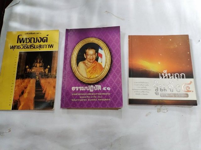 ธรรมะปฎิบัติ​ 41 รูปที่ 12