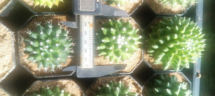 ขายส่งและปลีก รูปที่ 2