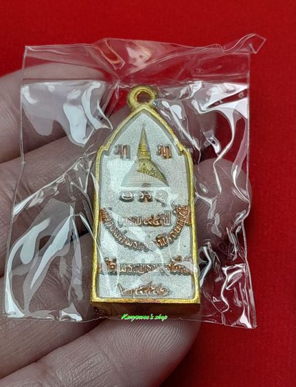พระร่วงโรจนฤทธิ์ ครบรอบ 94 ปี หลวงพ่อพระร่วงโรจนฤทธิ์ วัดพระปฐมเจดีย์ จ.นครปฐม ปี 2551 เนื้อพ่นทรายสามกษัตsิย์ รูปที่ 4