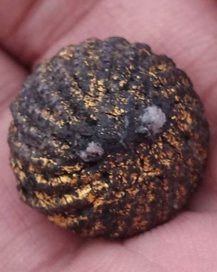 ลูกอมหลวงพ่อปลอด วัดในปากทะเล หูขาด ขนาดเกือบ 2 ซ.ม. รูปที่ 3