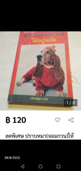 ปราบหมา​จอม​กวน​ให้​อยู่​หมัด​