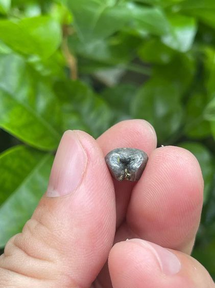 เงินพดด้วง 1เฟื้อง โบราณ รูปที่ 4