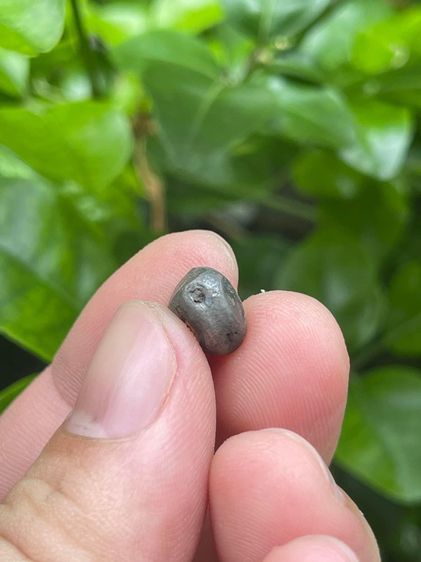 เงินพดด้วง 1เฟื้อง โบราณ รูปที่ 3