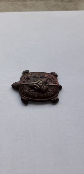 เต่าหลวงพ่อคูณ รูปที่ 3