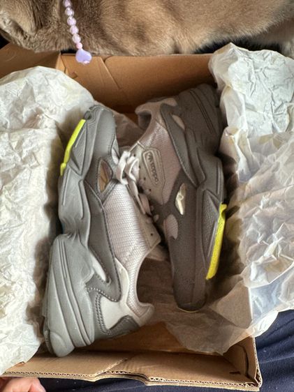 รองเท้า Adidas Falcon สีเทา รูปที่ 13