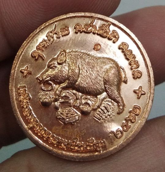 4351-เหรียญหมู หนุนดวงราชาโชค ปีกุน เนื้อทองแดง ปี2562 พร้อมตลับเดิมๆ รูปที่ 4