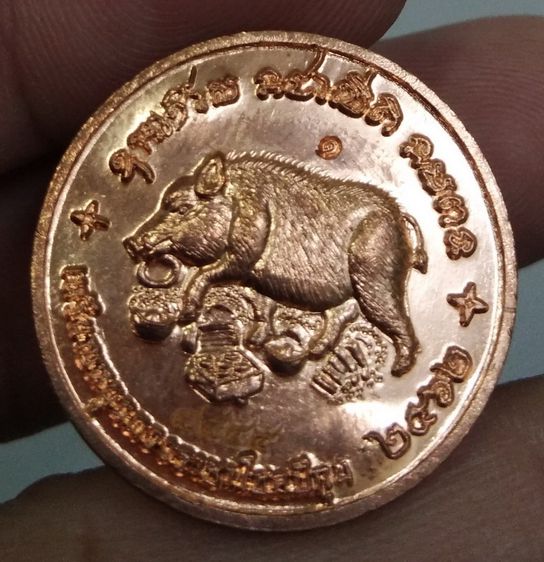 4351-เหรียญหมู หนุนดวงราชาโชค ปีกุน เนื้อทองแดง ปี2562 พร้อมตลับเดิมๆ รูปที่ 10