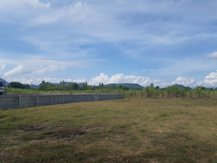 ที่ดินวิวเขาสวยพร้อมปลูกบ้าน รูปที่ 4