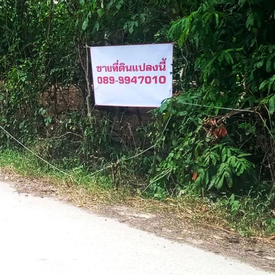 ที่ดิน 17ไร่ จ.ตาก รูปที่ 4