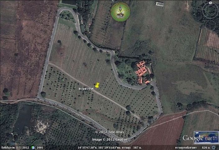 ไม่ใช่ "สวนสวรรค์" สวรรค์บนดินที่คุณครอบครองได้. รูปที่ 4