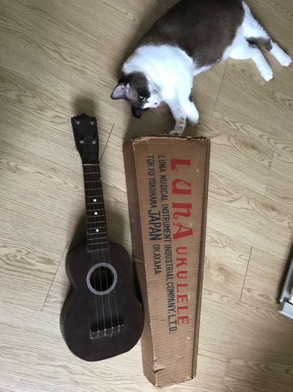 Vintage ukulele (made in Japan)