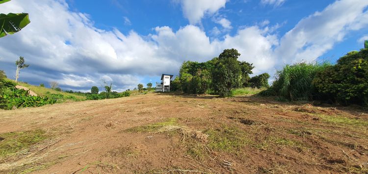 ขายบ้านพร้อมที่ดิน โฉนดครุฑแดง อ.เขาค้อ เนื้อที่ 3 ไร่ 32 ตร.วา วิวกังหัน ติดฝายทดน้ำ และลำธารล้อมรอบ รูปที่ 2