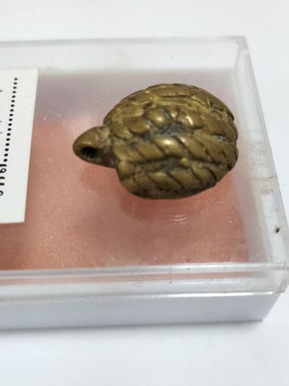 เต่าหลวงพ่อเงิน วัดบางคลาน รูปที่ 3