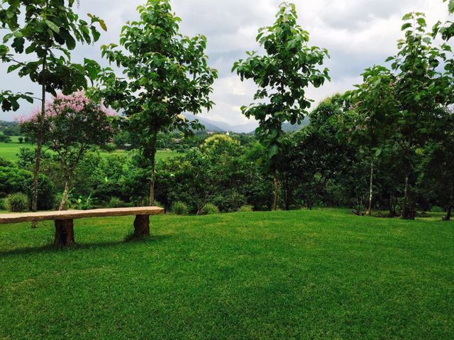 ขายที่ดินสวนผลไม้พร้อมเก็บ วิวสวย 19 ไร่ 2 งาน 20 ตรว. อ.แม่แตง จ.เชียงใหม่ รูปที่ 2