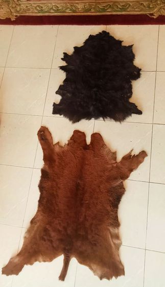 แท้ฟอกแล้ว รูปที่ 12