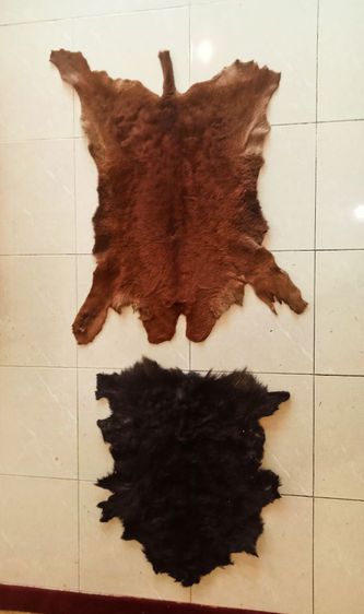 แท้ฟอกแล้ว รูปที่ 11