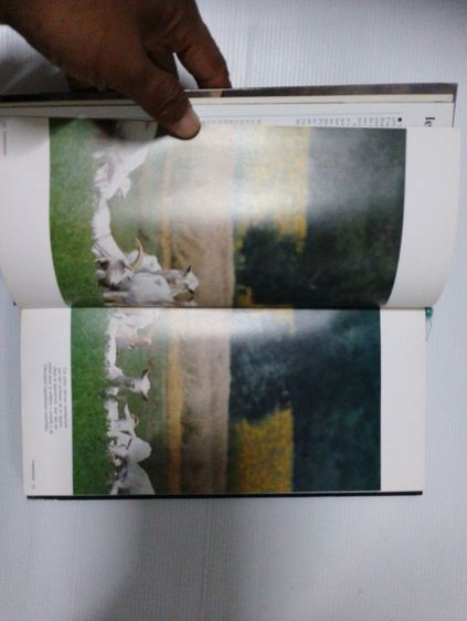 LE CHER EM BERRY AUJOURD'HUI รูปที่ 8