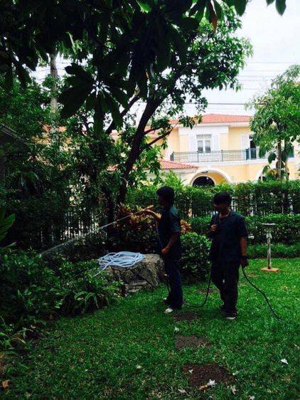 กำจัดปลวดมดแมลงQueenpestcontrolservice  รูปที่ 4